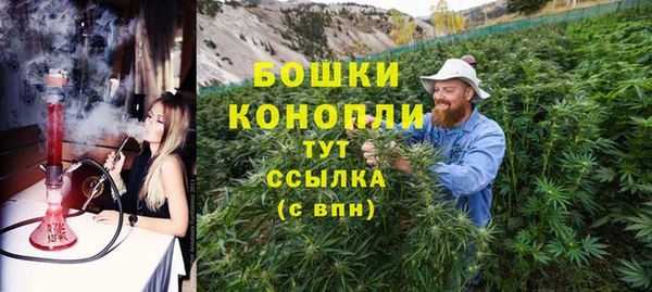 spice Абаза
